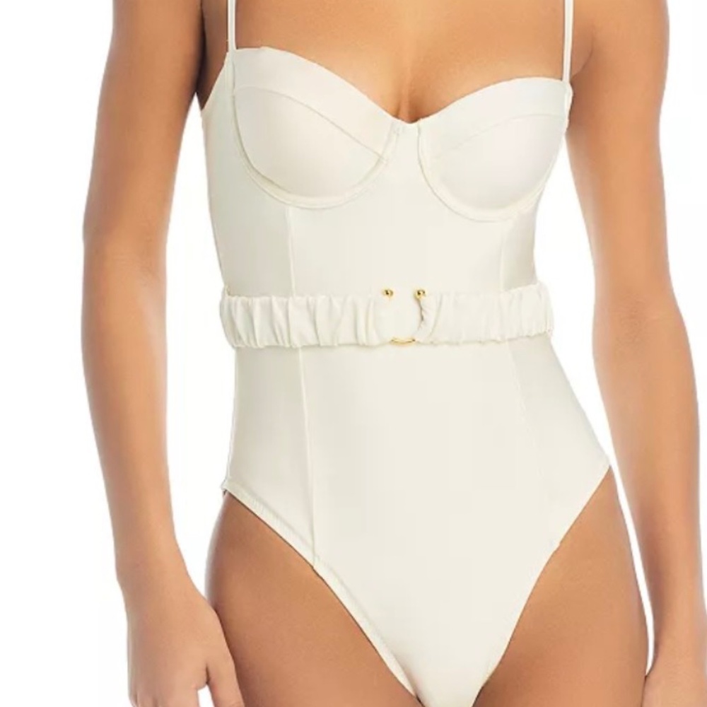 Solid and Striped The Spencer Belted One Piece Swimsuit